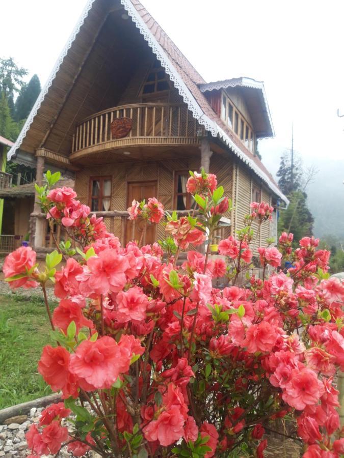 Spring Brooks Homestay Dardzsiling Kültér fotó
