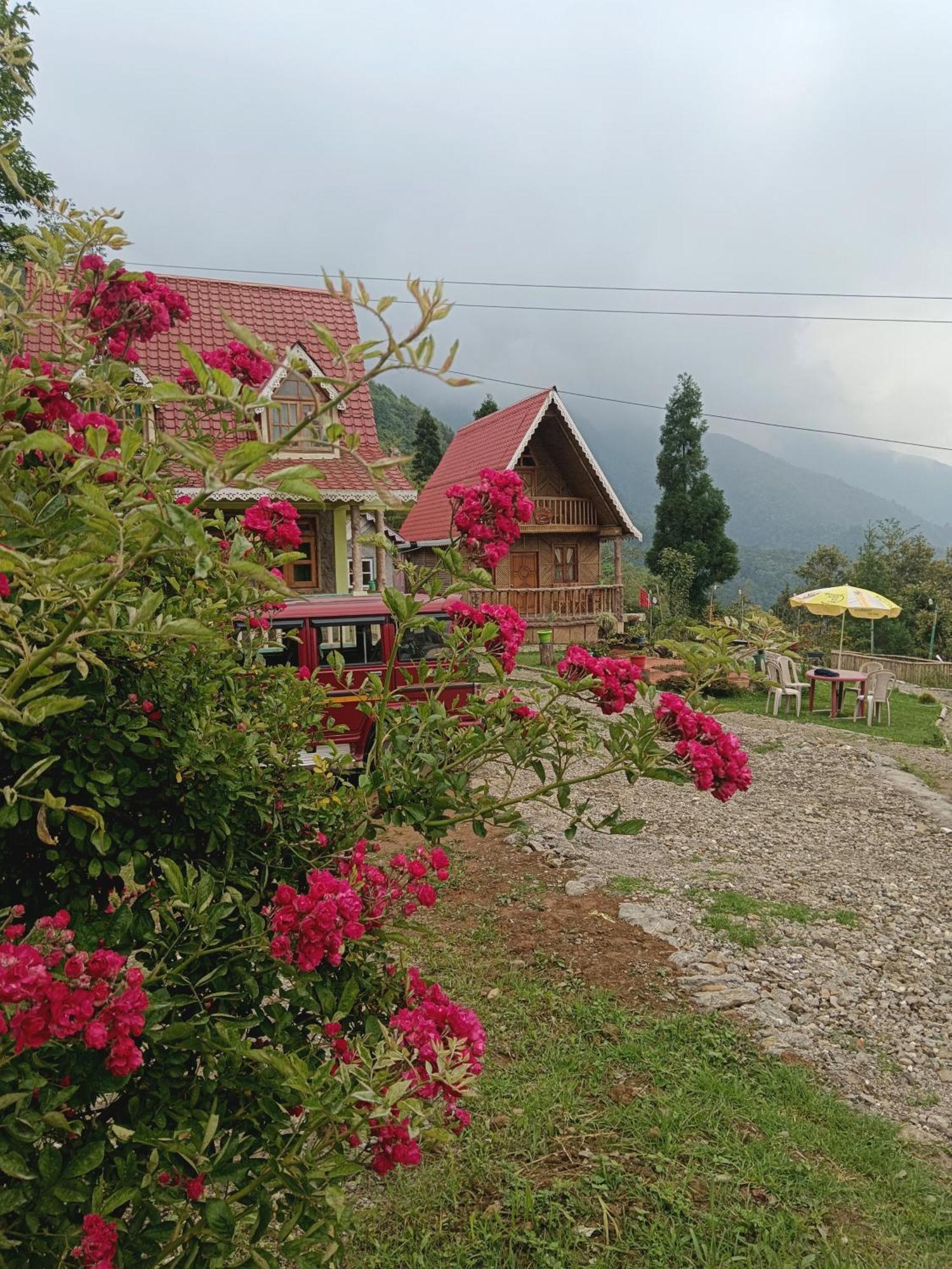 Spring Brooks Homestay Dardzsiling Kültér fotó